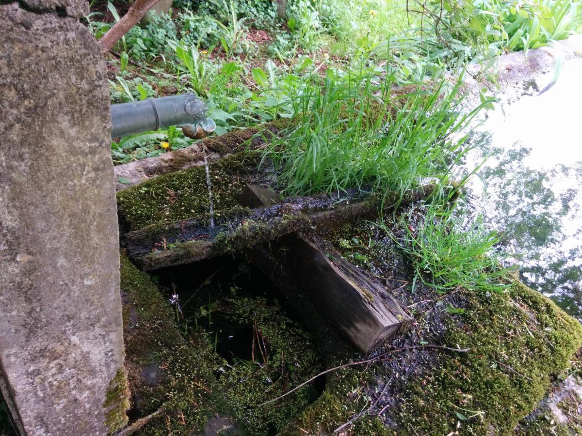 Ferme Des Deux Frères, Autrans, Vercors *