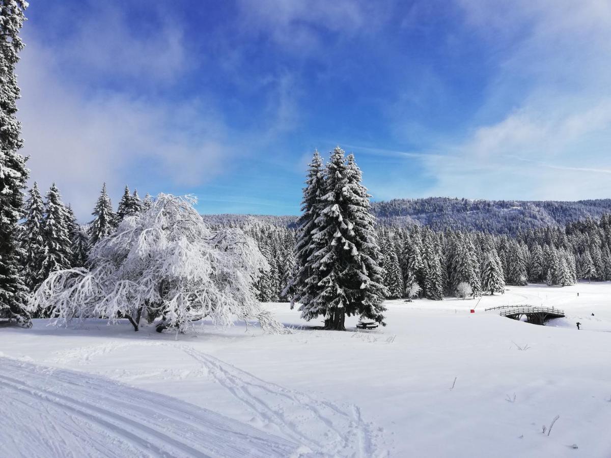 Ferme Des Deux Frères, Autrans, Vercors Autrans-Meaudre-en-Vercors