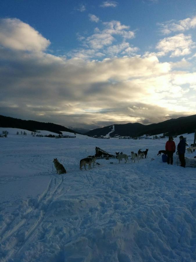 Ferme Des Deux Frères, Autrans, Vercors * Autrans-Meaudre-en-Vercors