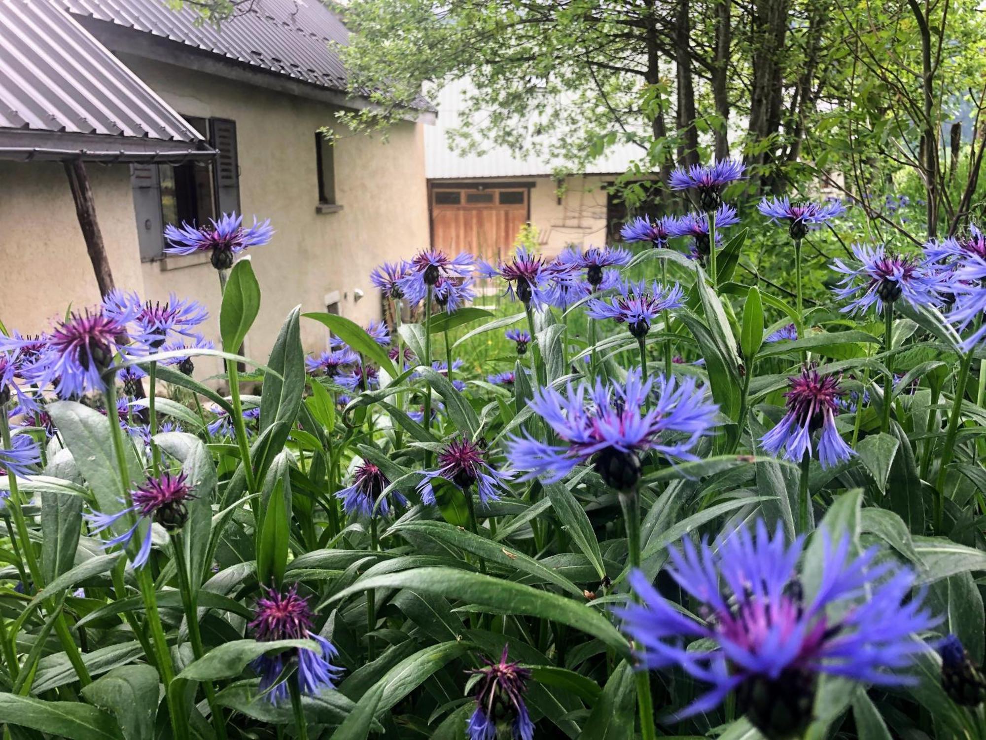 Hébergement de vacances Ferme Des Deux Frères, Autrans, Vercors